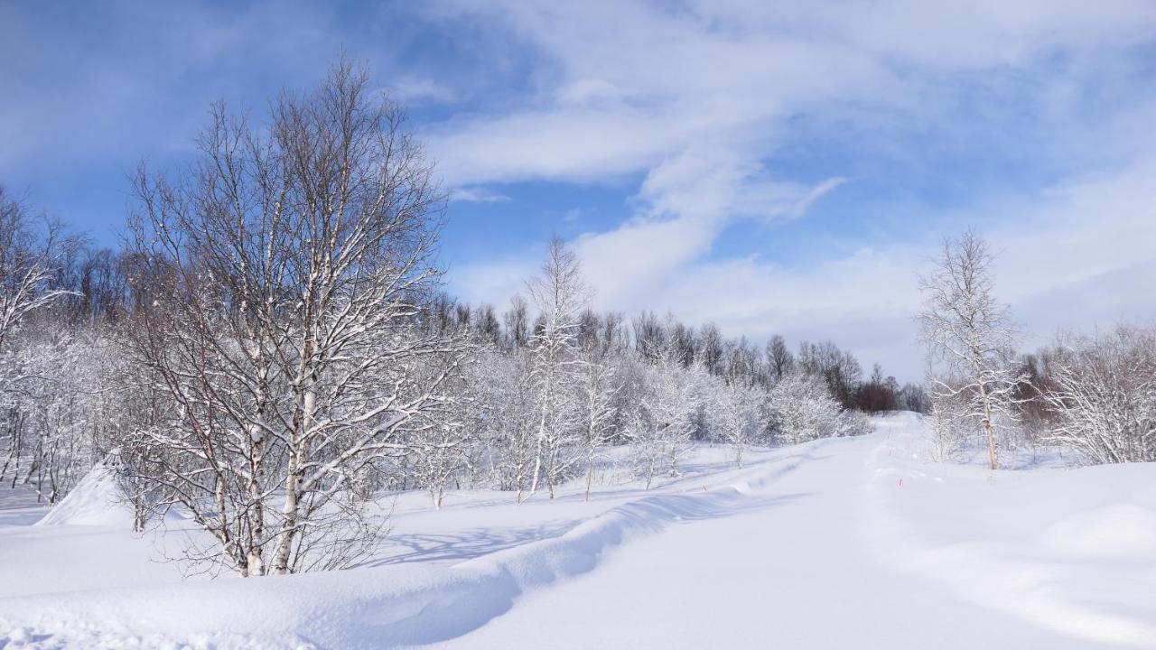 Wild Caribou'S Wildwood Cabin Lakselv Εξωτερικό φωτογραφία